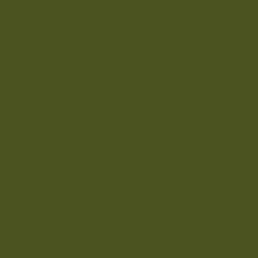 610 VERDE MILITAR 