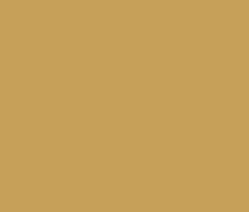 309 CAMEL